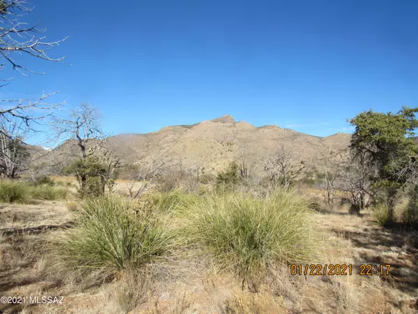 San Simon, AZ 85632,5.4 Acres W Hilltop Road #5.4