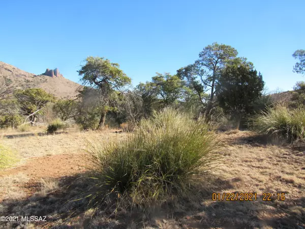 5.4 Acres W Hilltop Road #5.4, San Simon, AZ 85632