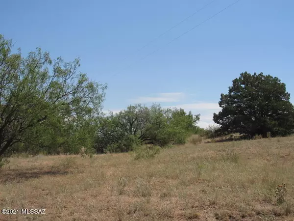 San Simon, AZ 85632,7 acres W Hilltop Road