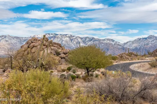 Oro Valley, AZ 85755,XXX W Granite Gorge Drive #337