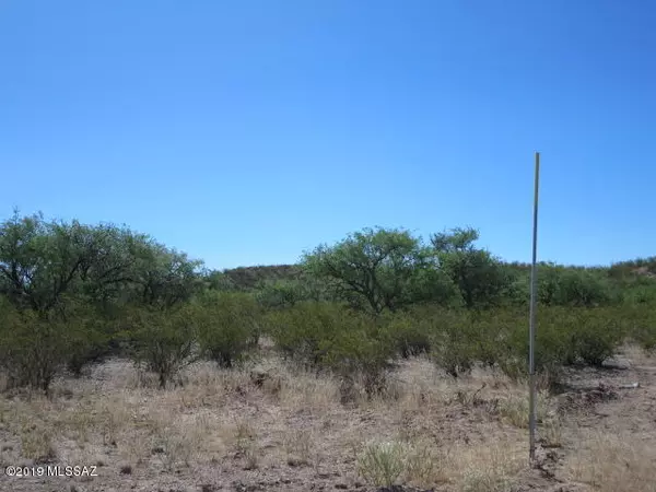 Benson, AZ 85602,12 ac Gartin Ranch Trail #0