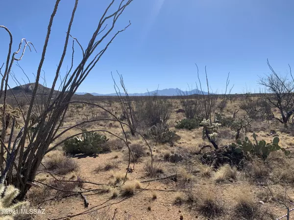 Sahuarita, AZ 85629,30 Acres W Bucking Horse Road