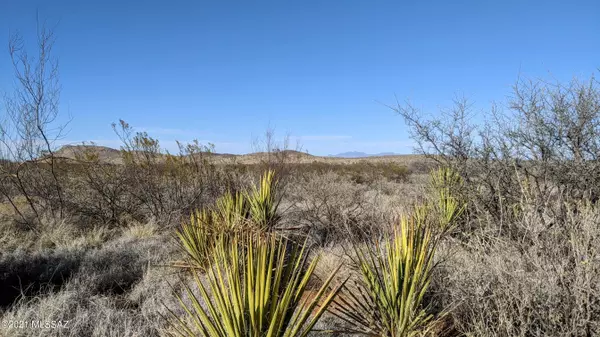 Pearce, AZ 85625,5 ACRES off Ghost Town Trail #-