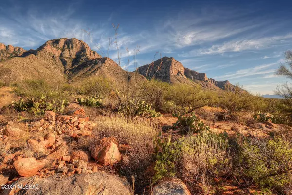 2590 E Ponticello Boulevard #1E, Oro Valley, AZ 85737