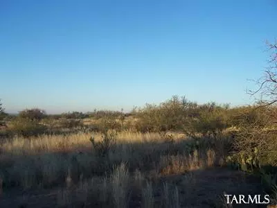 Oracle, AZ 85623,1.27 Ac E Chris Way #Lot 4