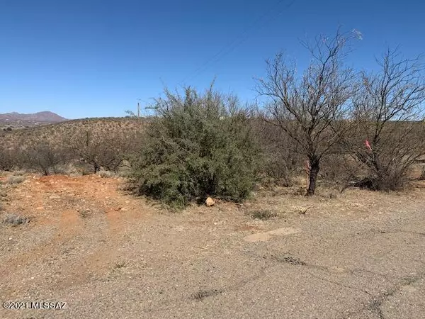 Rio Rico, AZ 85648,1770 Fawn Court