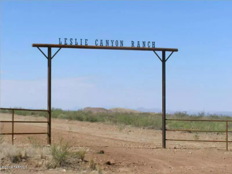 923 ACRE Leslie Canyon Ranch  #-, Mc Neal, AZ 85617