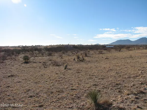 Benson, AZ 85602,4.12 Acre N Diana Drive