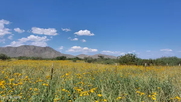 Cochise, AZ 85606,120 ACRE on Slope Along Way