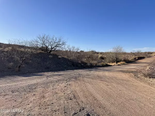 Sahuarita, AZ 85629,TBD S Lone Saguaro Road