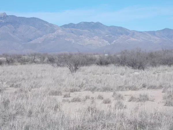 Willcox, AZ 85643,Kansas Settlement