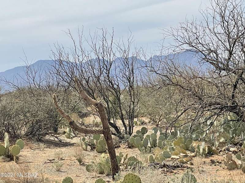 15128 S Sierrita Mountain Road #6, Tucson, AZ 85736