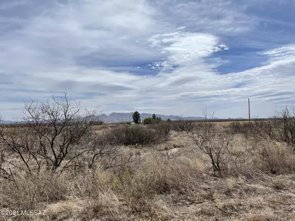 Elfrida, AZ 85610,N Martineau Road