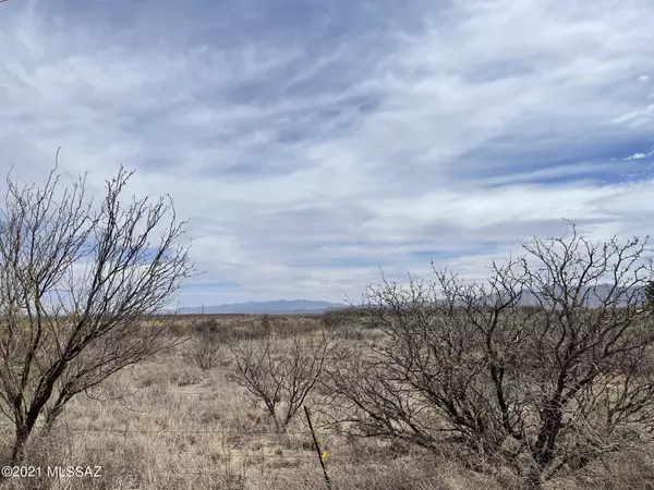 Elfrida, AZ 85610,N Martineau Road