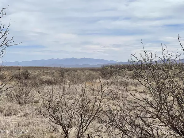 Elfrida, AZ 85610,N Martineau Road