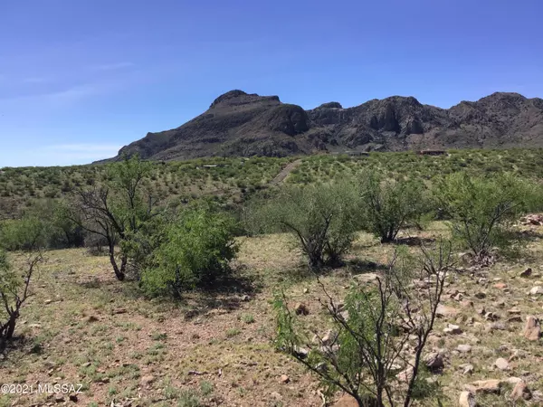 Tubac, AZ 85646,Lot E Whitetail Lane  #E