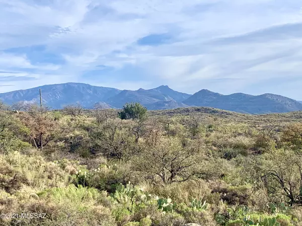 2.5 Acres off Bachman Wash Road, Oracle, AZ 85623