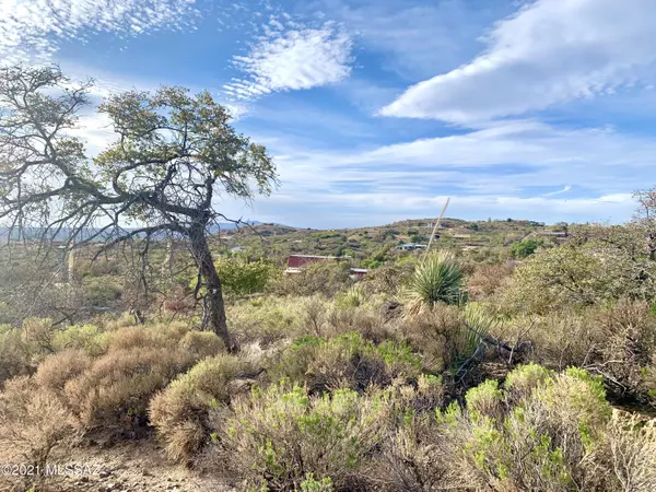 Oracle, AZ 85623,2.5 Acres off Bachman Wash Road