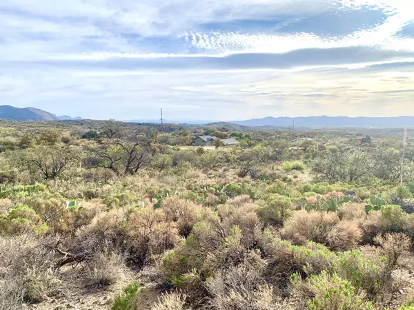 Oracle, AZ 85623,2.5 Acres off Bachman Wash Road