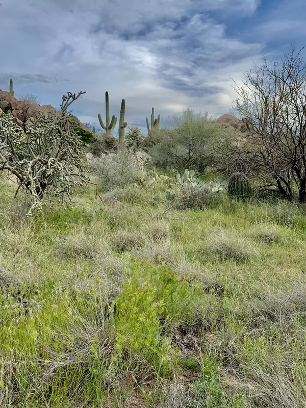 Oro Valley, AZ 85755,1484 W Tortolita Mountain Circle #294
