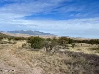 Sonoita, AZ 85637,231 Windmill Drive #26