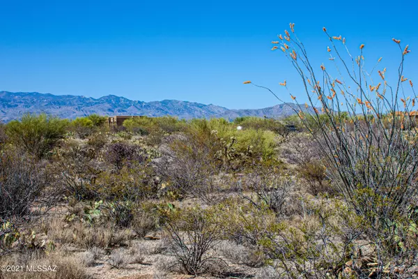 Tucson, AZ 85730,4080 S Saguaro Path Court #4