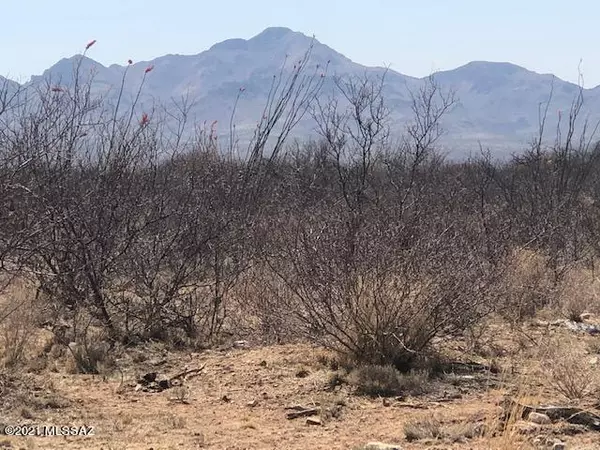 Tubac, AZ 85646,TBD Camino Obregon  #68