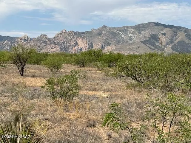 Cochise, AZ 85606,TBD W Cochise 7.49 Acres Way #.