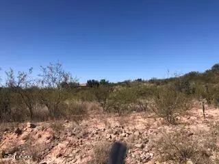 Rio Rico, AZ 85648,381 Del Ct  #16