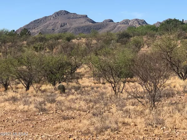 Tubac, AZ 85646,TBD Rusty Spur Rd