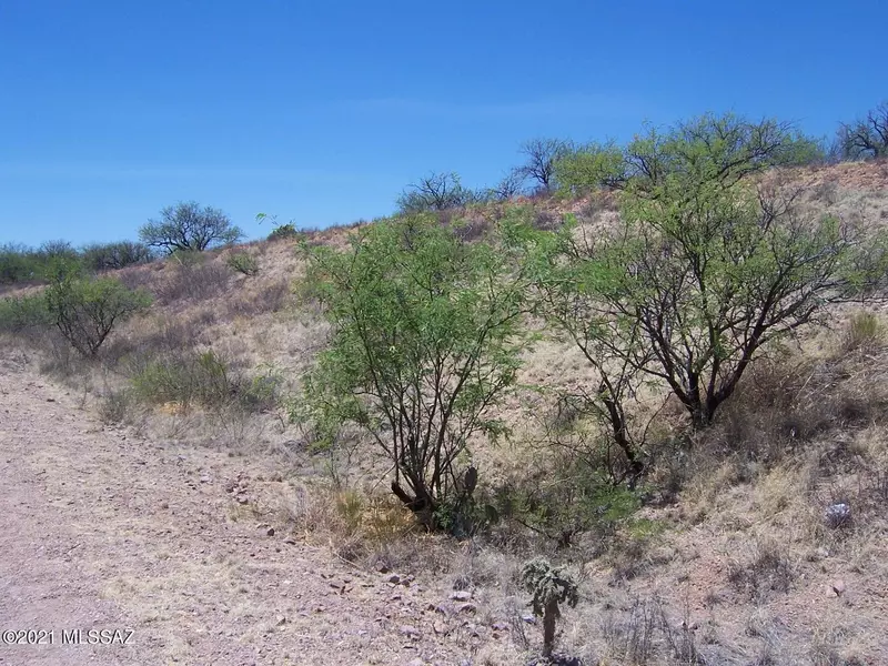 16700 W Arivaca Road #1, Arivaca, AZ 85601