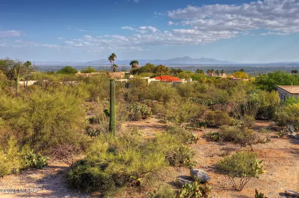 Tucson, AZ 85718,7501 N Catalina Ridge Drive #Lot 46