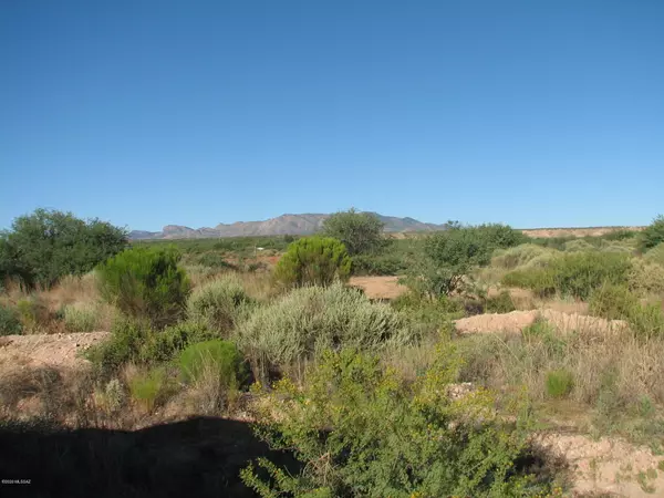 Benson, AZ 85602,30 Acres N Williams (and Hollyhock) Way