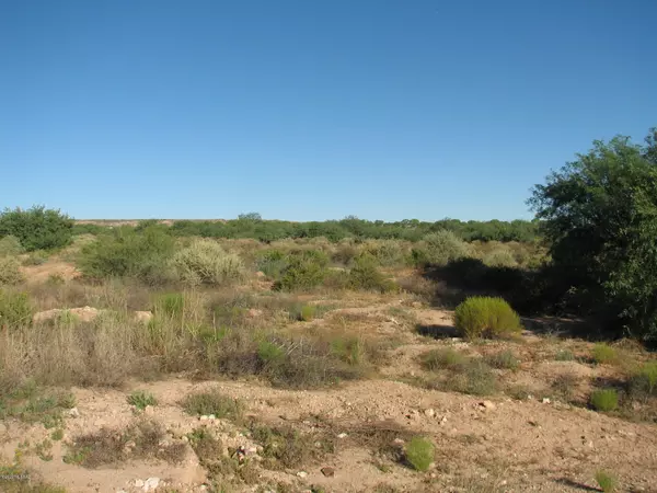 Benson, AZ 85602,30 Acres N Williams (and Hollyhock) Way