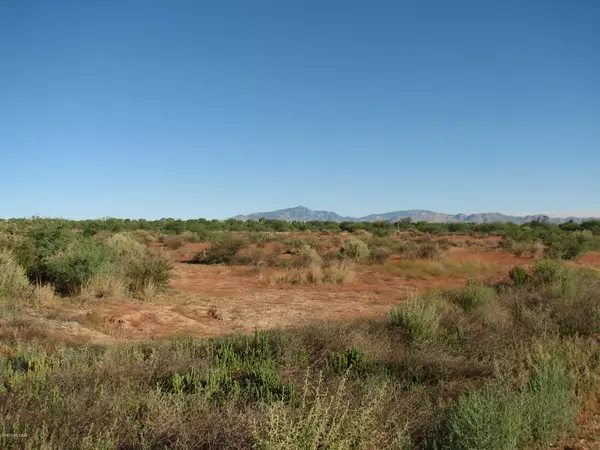 Benson, AZ 85602,30 Acres N Williams (and Hollyhock) Way