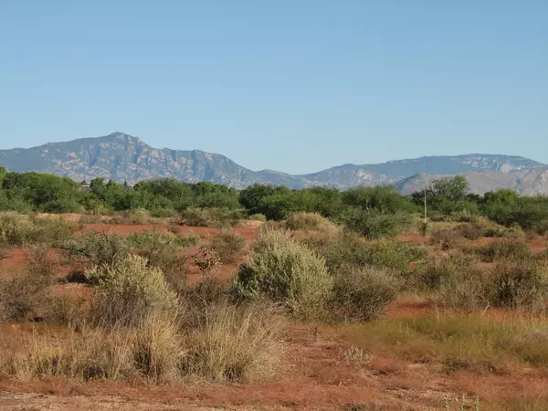 30 Acres N Williams (and Hollyhock) Way, Benson, AZ 85602