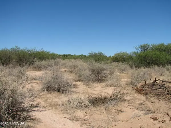 Benson, AZ 85602,30 Acres N Williams (and Hollyhock) Way