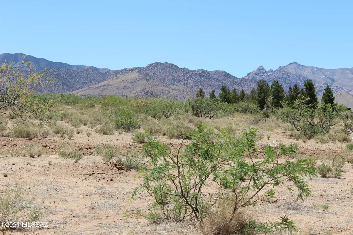 Pearce, AZ 85625,9 AC S Central Road #25