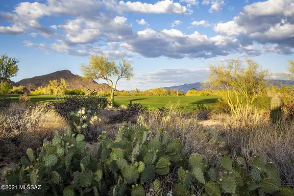 Marana, AZ 85658,4967 W Desert Chicory Place