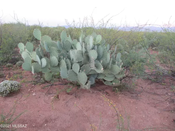 Sierra Vista, AZ 85635,17 E Conestoga Trail