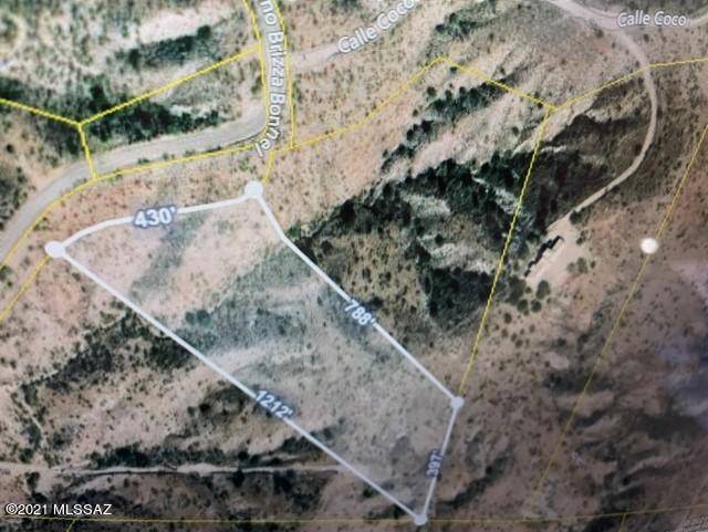 Rio Rico, AZ 85648,TBD Camino Brizza Bonell  #40B