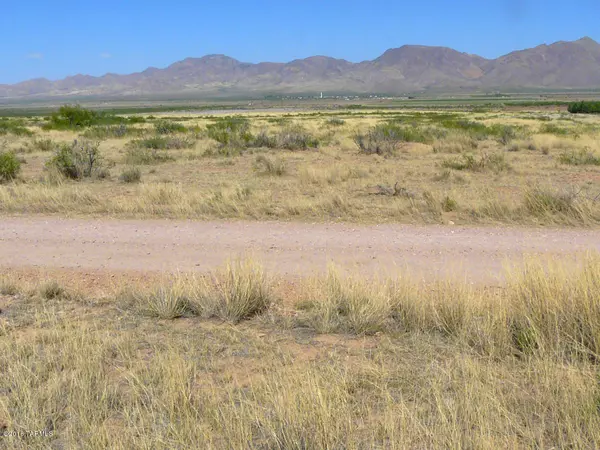 Portal, AZ 85632,40 ac S Mi Casita Road #0