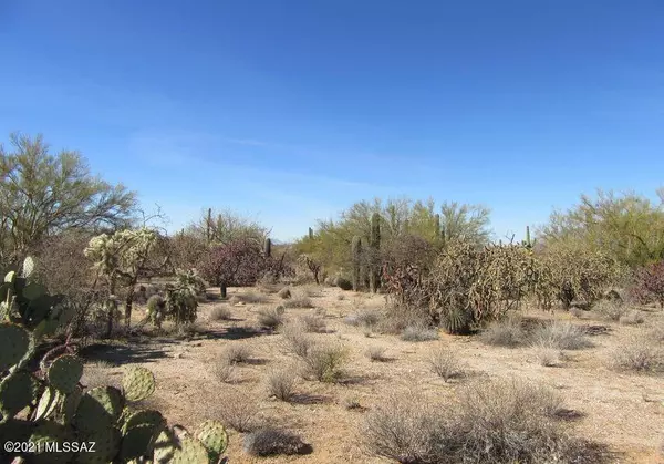 Tucson, AZ 85749,Lone Dove