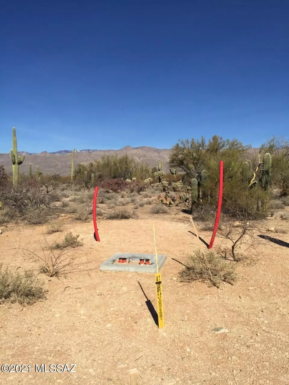 Tucson, AZ 85749,Lone Dove