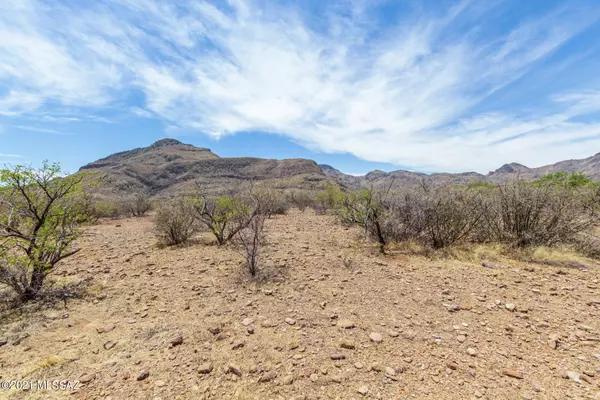 Tubac, AZ 85646,TBD Trujillo Trail