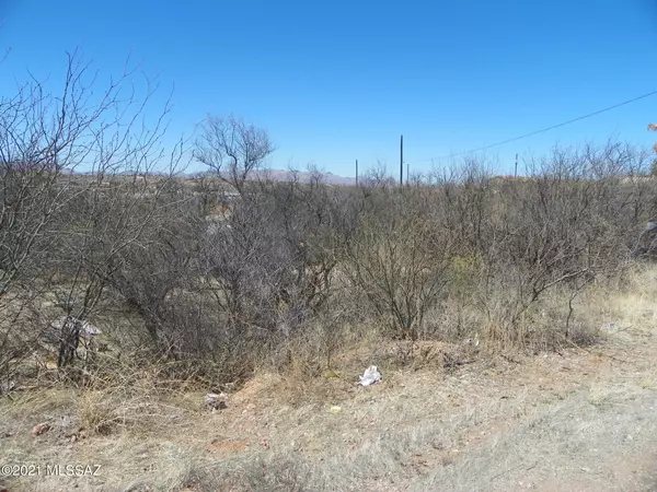 Rio Rico, AZ 85648,957 Paseo Escoba  #25