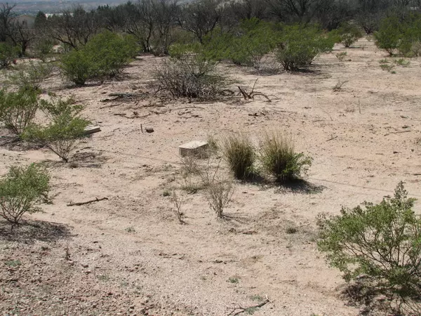 Benson, AZ 85602,1.50 Acres N Alvie Lee Lane