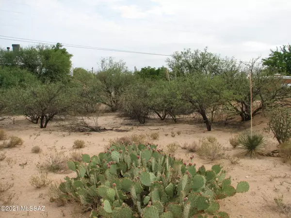 Benson, AZ 85602,11.3 Acres E Silverwood Lane