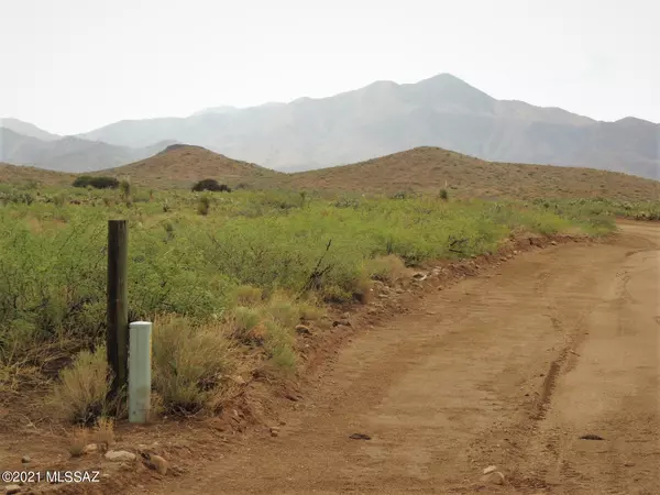 Willcox, AZ 85643,38.53 Acres Mulkins Ranch Road #13