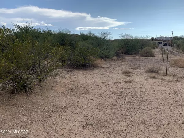 Benson, AZ 85602,TBD Prickly Pear